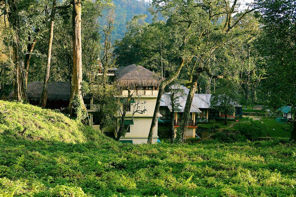 Deep Woods Resort Munnar Værelse billede