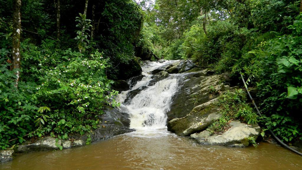 Deep Woods Resort Munnar Eksteriør billede