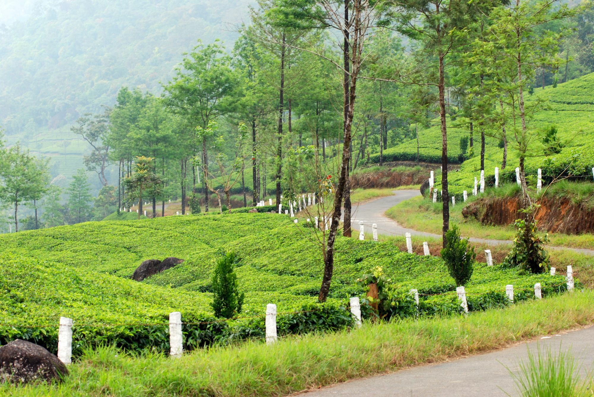 Deep Woods Resort Munnar Eksteriør billede